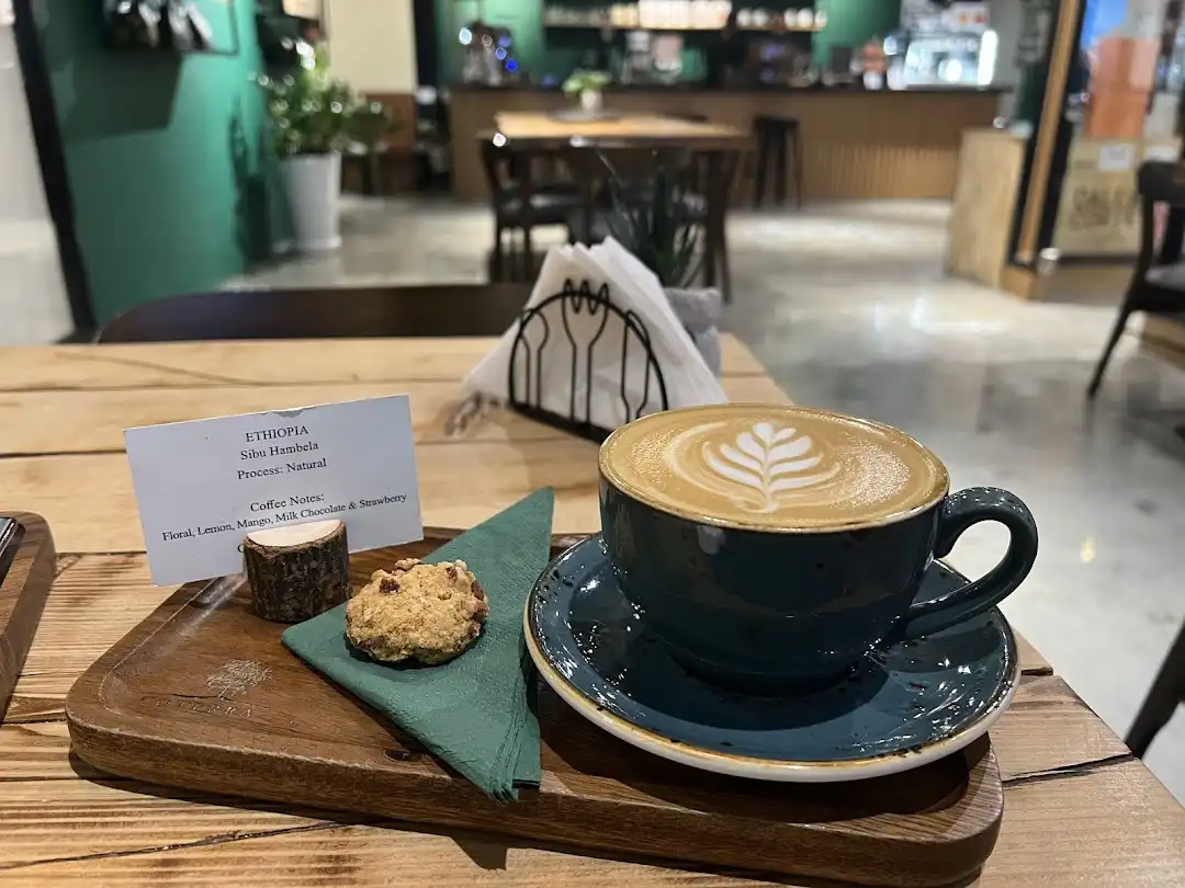 Coffee from Coterra Coffee Roasters